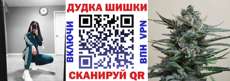 сайты даркнета телеграм  Асино  Каннабис Amnesia  МЕГА как войти 